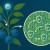 Tec de Monterrey promueve la agricultura sostenible con nanobiotecnología