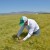 La agricultura impulsa el futuro de la industria cervecera en México