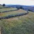 FAO reconoce al Sistema Agrícola Metepantle de Tlaxcala como Patrimonio Agrícola Mundial