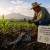 Tecnologías de biología molecular ayudan a descifrar el microbioma del suelo e impulsan una agricultura más productiva y sostenible