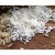 Grupo Modelo y gobierno mexicano impulsan programa piloto de siembra de arroz